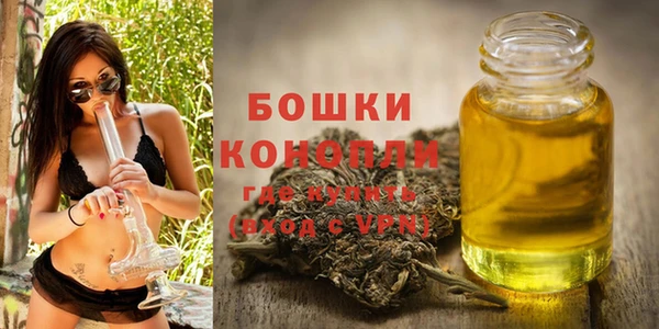 твердый Медногорск