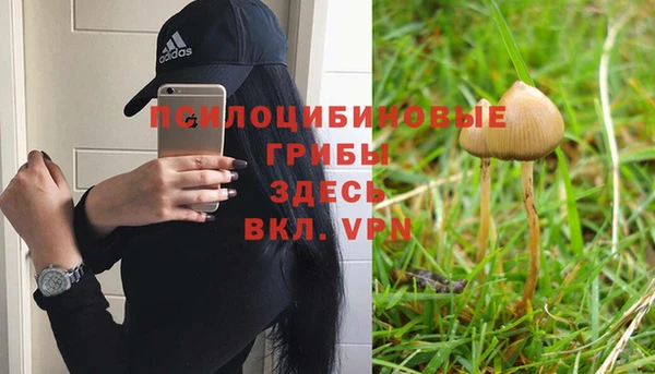 прущие крисы Майский