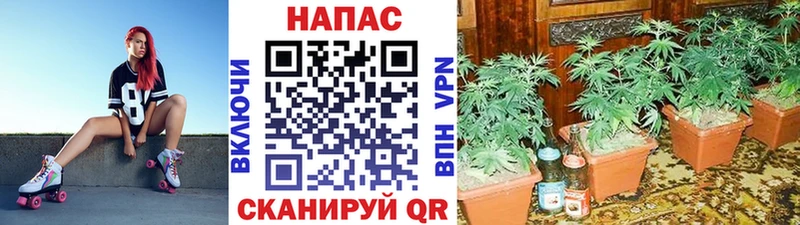 купить наркоту  сайты даркнета телеграм  kraken как войти  Шишки марихуана семена  Невьянск 
